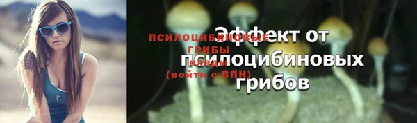 крисы Богданович