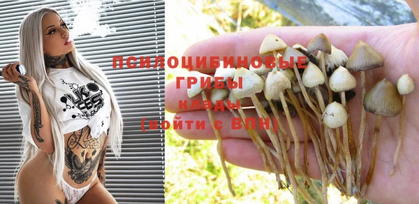 крисы Богданович