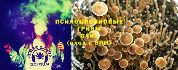 соль курить ск Богородицк