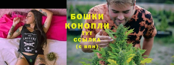 крисы Богданович