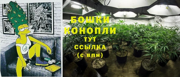 крисы Богданович