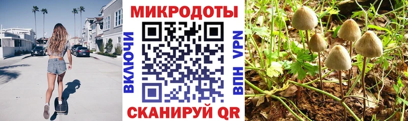 Галлюциногенные грибы Psilocybine cubensis купить наркоту Красноярск